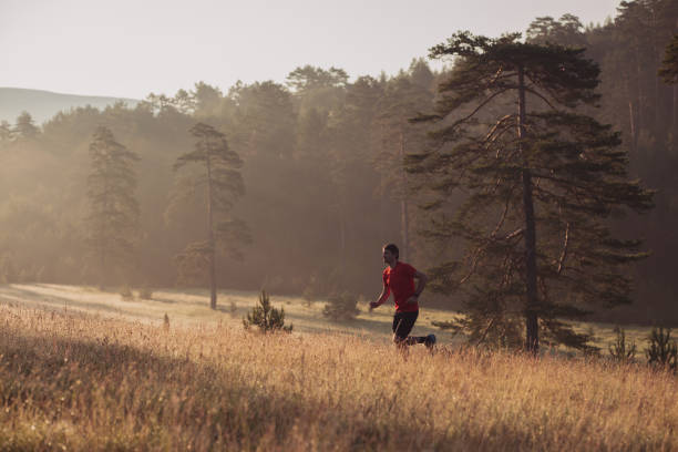istock Morning jogging in a field 1262595564