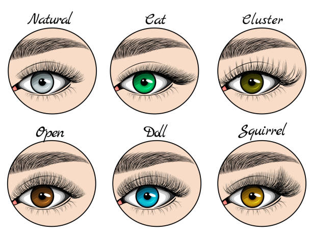 660+ Doll Eyelashes Stock Photos, Pictures & Royalty-Free Images - iStock