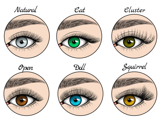 Kinds of lashes sets on blue, green, grey and brown eyes with brows Kinds of lashes sets on blue, green, grey and brown eyes with brows. Vector illustration on flat and hand drawn style. Story highlight covers. clump eyelashes stock illustrations