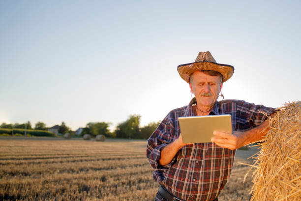 istock Man leaning elbow on hay bale typing on digital tablet 1262600471