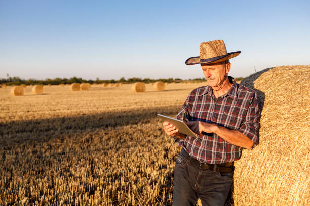 istock Farmer standing in the hay and using digital tablet 1262600488