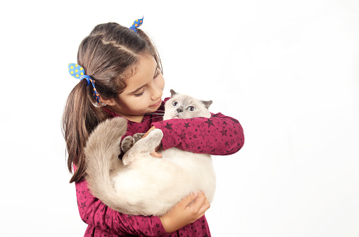 Little girl with her cat in hands . Bestfriends. Interaction of children with pets.