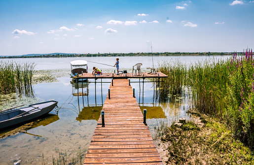 Brother and sister fishing in nature on a sunny day stock photo