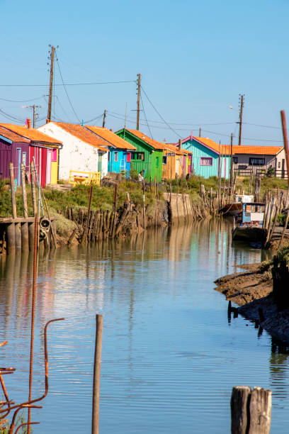 istock Dolus On the oyster route. Charente-Maritime. New Aquitaine 1262604129