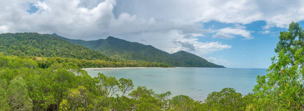 istock Cape Tribulation, Queensland, Australia 1262604159