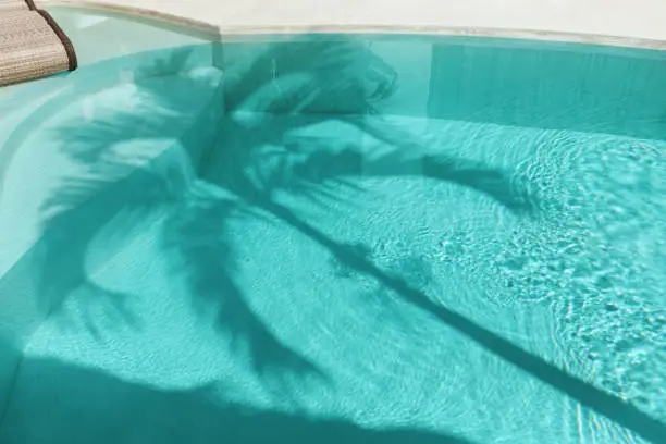 Photo of Palm Shadow On Water Surface. Swimming Pool With Silhouette Of Tropical Tree At Noon.