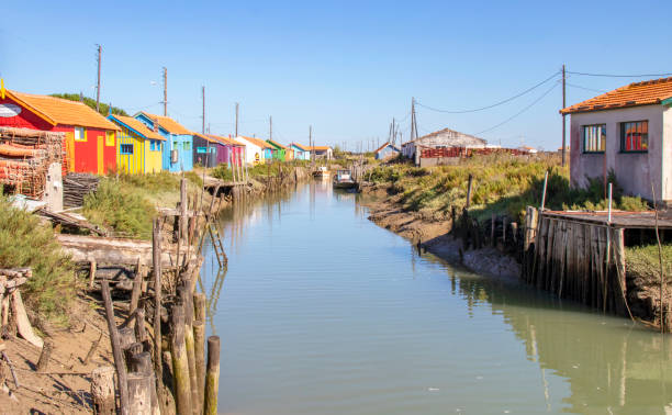istock Dolus On the oyster route. Charente-Maritime. New Aquitaine 1262604620