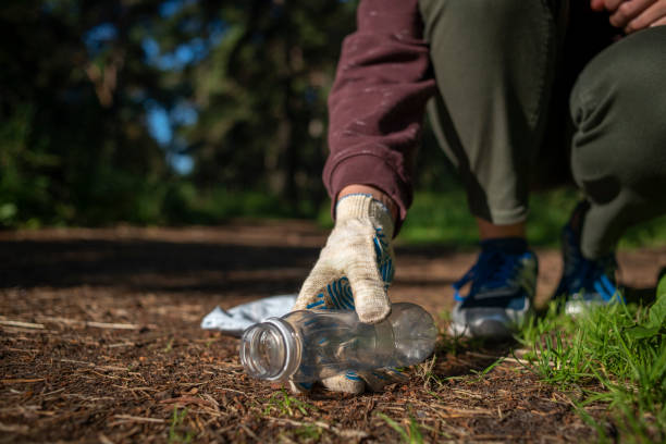 istock Woman collecting plastic garbage in forest 1262604733