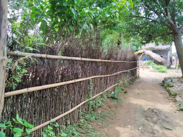 istock Village fence 1262605859