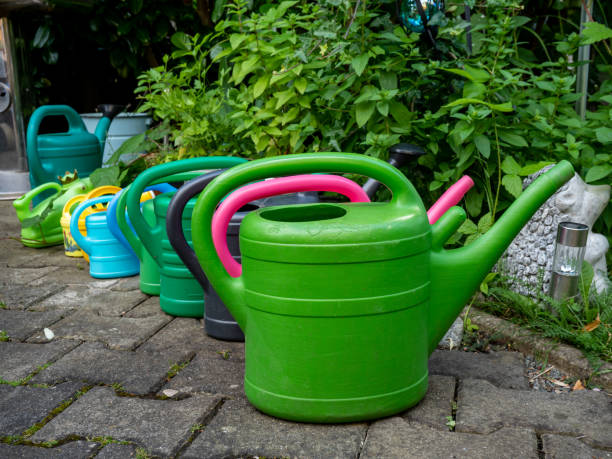 istock colorful watering can in garden 1262610288