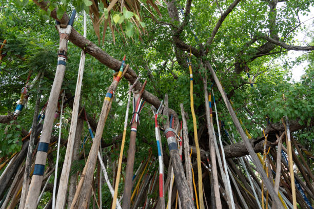 istock Logs that were used to support the branches of the Bodhi tree 1262612297