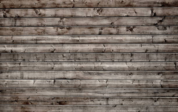 istock Texture of bark wood use as natural background. 1262612333