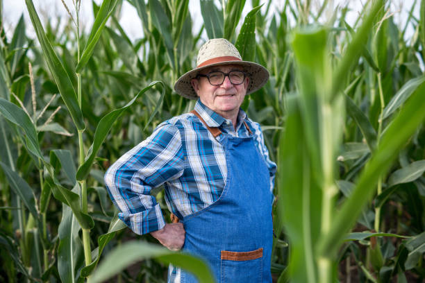 istock The harvest will be very good 1262615235