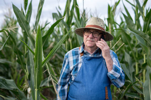 istock The harvest will be very good 1262615236