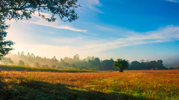istock Landscape of the Galician fields at dawn 1262616173