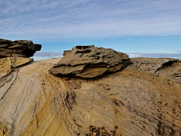 istock Beautiful coalstal trail along the ocean front in the national park 1262619507