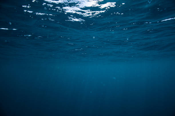 istock Deep blue sea with rays of sunlight, ocean surface seen from underwater. 1262619628