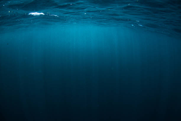 istock Deep blue sea with rays of sunlight, ocean surface seen from underwater. 1262619636