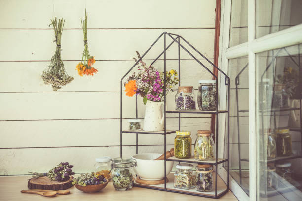 collection de diverses plantes médicinales à base de plantes sèches sèches dans des bocaux en verre et sèchent sur le mur. étagère moderne avec des pots de mortier et de pilon et bouquet de fleurs sauvages à base de plantes dans une cruche en céra - mortar and pestle wood healthcare and medicine jar photos et images de collection