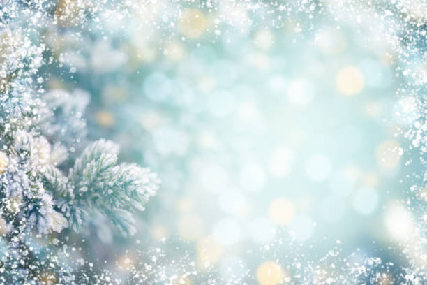 istock Christmas tree branches with frost 1262621108