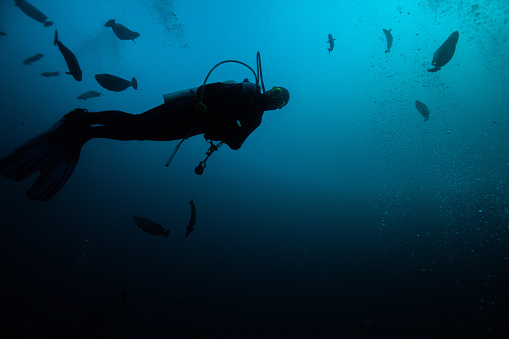 Safaga, Egypt on November 5, 2023: perfectly buoyant female diver exploring the reef