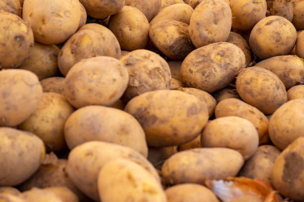 shopping al mercato degli agricoltori. patata - raw potato farmers market market stall vegetable foto e immagini stock