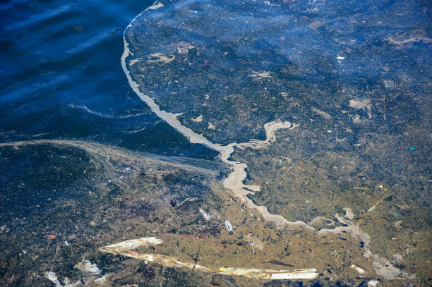 zanieczyszczenie wody. - pollution sea toxic waste garbage zdjęcia i obrazy z banku zdjęć