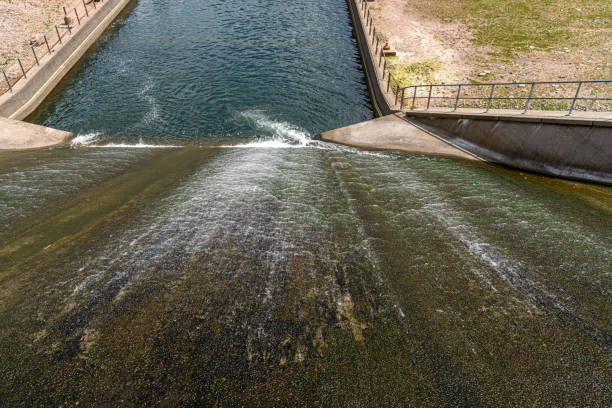 istock The Nagold Dam (Nagold Dam) in the Black Forest in Germany 1262629303