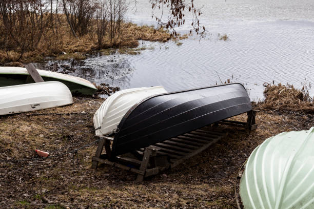 istock Lakes in Finland 1262636854