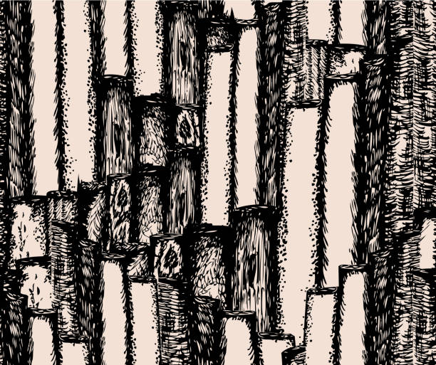 ilustraciones, imágenes clip art, dibujos animados e iconos de stock de fondo sin costuras de la valla de madera dibujada - computer graphic image stick tree trunk