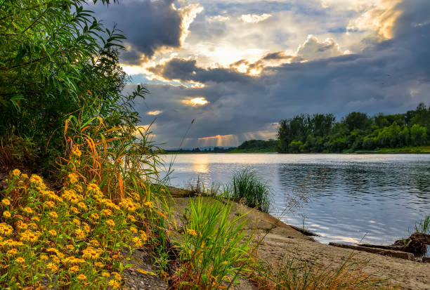 istock Bewitching summer sunset over the river among cumulus clouds 1262650772