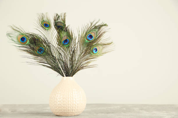 istock Peacock feathers in vase on gray background 1262651726