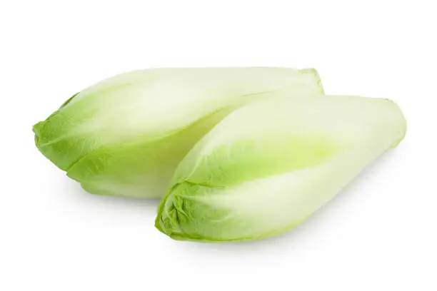 Chicory salad isolated on white background with clipping path and full depth of field