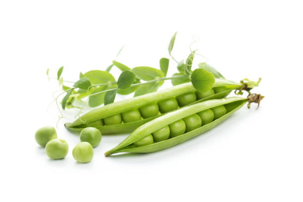 istock Green pea pods with stem isolated on white background 1262655718