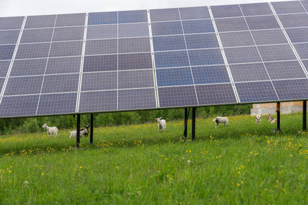 istock Solar panel, photovoltaic, alternative electricity source om the green grass 1262656512
