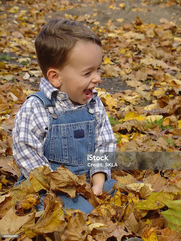 Garoto sorrindo enquanto estiver jogando em folhas de outono - Foto de stock de Alegria royalty-free