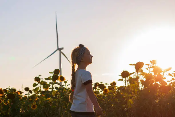 Photo of Cute girl in white t-shirt smelling sunflower in sunset field wind turbines farm on background. Child with long braid.