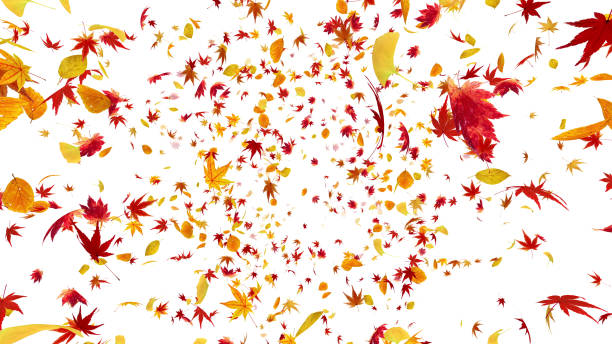 istock Autumn Flying leaves leaf 3D illustration background 1262664045