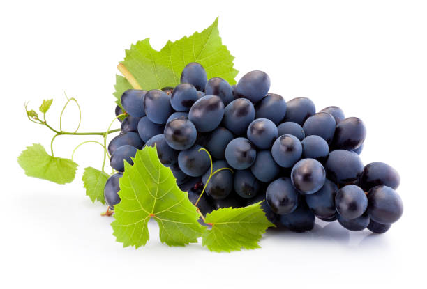 frais de raisins bleus avec des feuilles isolées sur le fond blanc - en botte ou en grappe photos et images de collection
