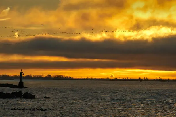 Garry Point sunrise as snowgeese fly over. Steveston, British Columbia, Canada.