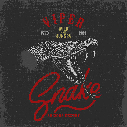 Python And Viper Design Illustration Of Snake Head Cobra Python Viper In Vintage Monochrome ...