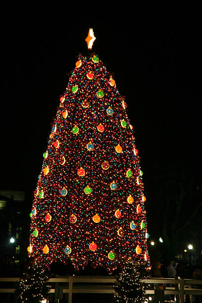 istock National Christmas Tree in Washington DC (USA) 126267986