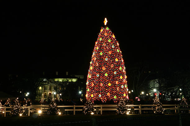 istock National Christmas Tree in Washington DC 126268001
