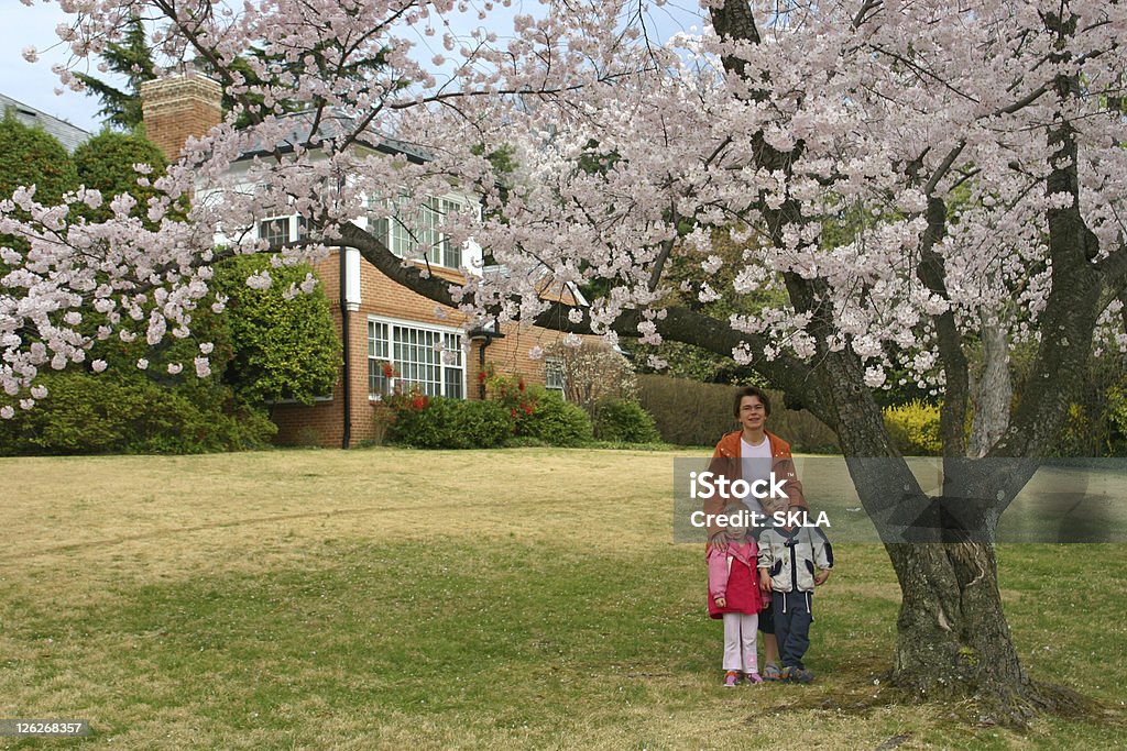 Mãe com Dois Filhos em uma bela blossoming Cerejeira - Royalty-free Ao Ar Livre Foto de stock