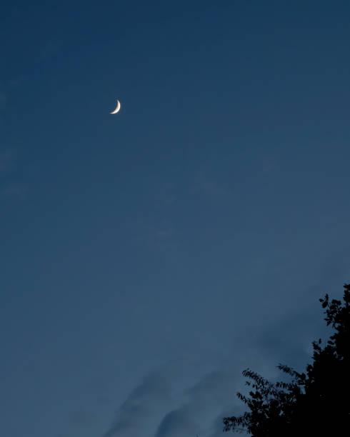 istock Waxing Crescent Moon over the Treeline 1262687084