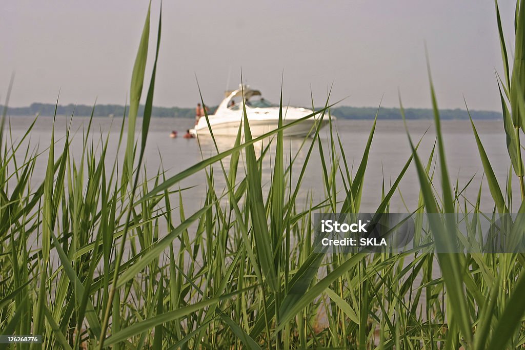 Vista sobre a Baía de Chesapeake através de relva com pequeno Iate - Royalty-free Ao Ar Livre Foto de stock