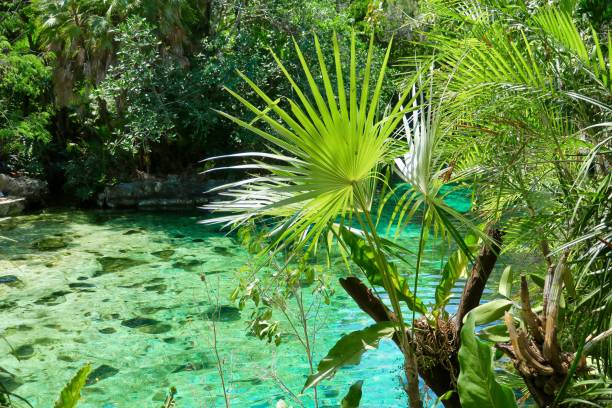 istock Garden of Eden 1262692196