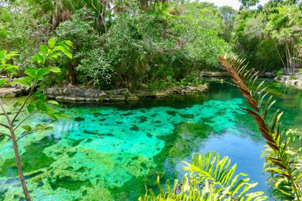 istock Garden of Eden 1262694021
