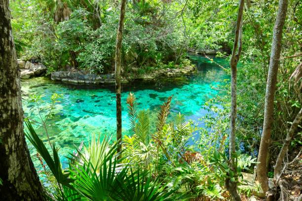 istock Garden of Eden 1262694042