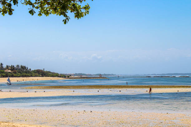 istock Nusa Dua Beach, Bali, Indonesia 1262694192